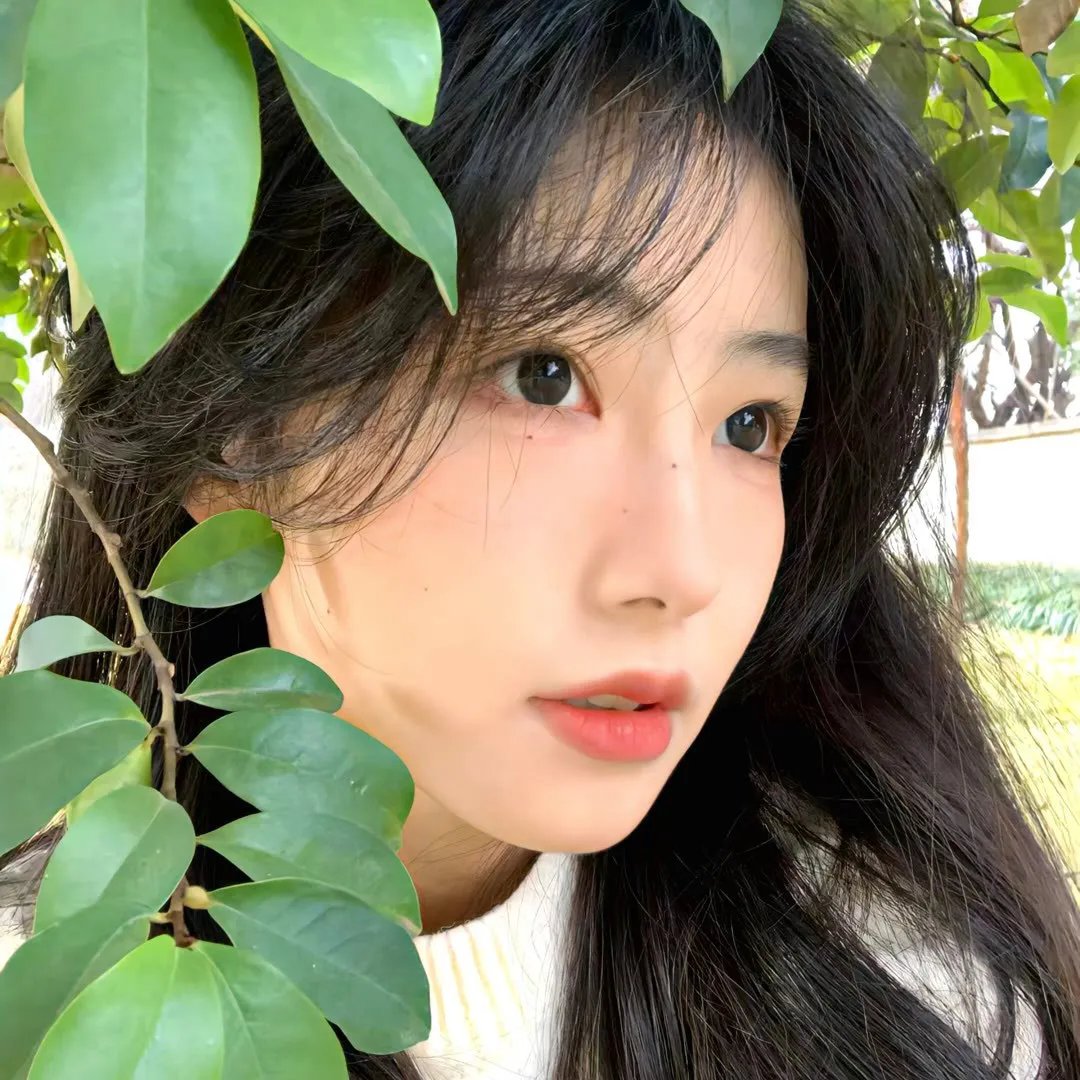 圣诞老兄
